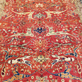 9'11" x 13'9"   Serapi Rug Angle View