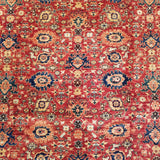 7'10" x 9'8"   Veramin Rug Angle View