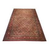 10'4" x 14'4"   Indian Rug Angle View