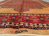 5'1" x 7'0"   Persian Kashkuli Rug Angle View
